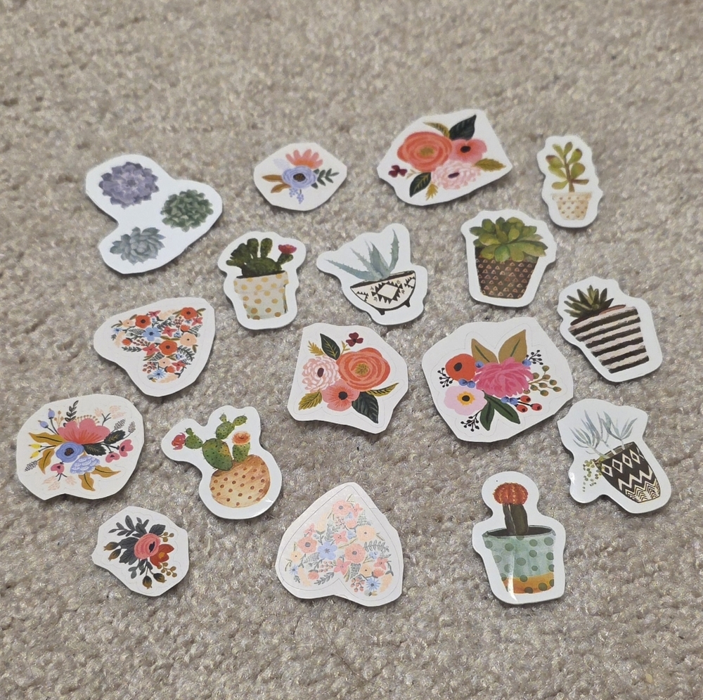 Floral & Succulent Sticker Pack - Mixed Pink, Green, Orange, Cacti And Plants